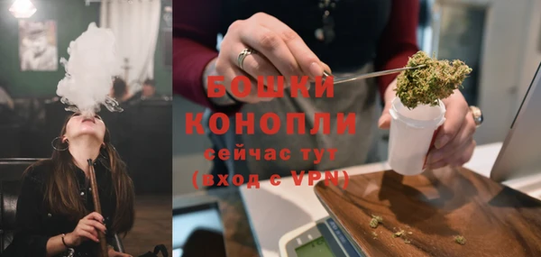 ПСИЛОЦИБИНОВЫЕ ГРИБЫ Верея