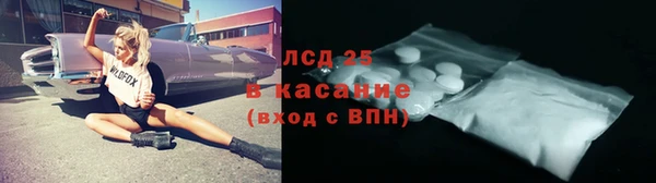 ПСИЛОЦИБИНОВЫЕ ГРИБЫ Верея