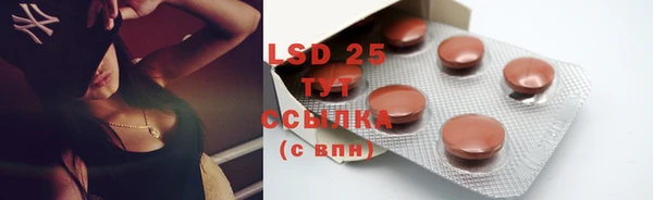 ПСИЛОЦИБИНОВЫЕ ГРИБЫ Верея