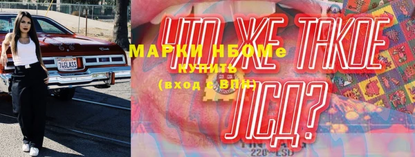 ПСИЛОЦИБИНОВЫЕ ГРИБЫ Верея
