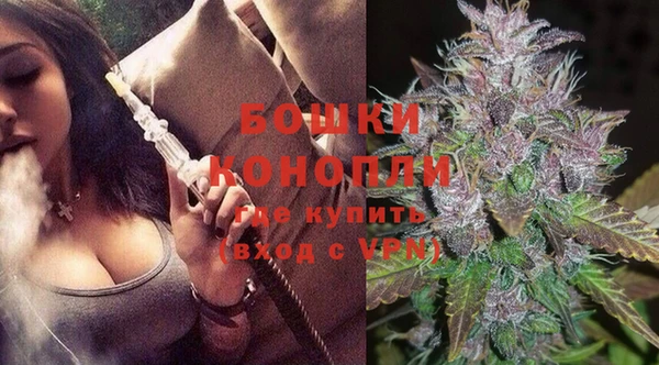 ПСИЛОЦИБИНОВЫЕ ГРИБЫ Верея